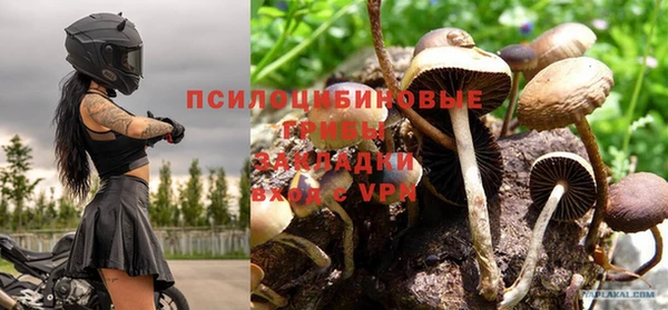 трава Россошь